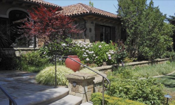 pool landscaping saratoga